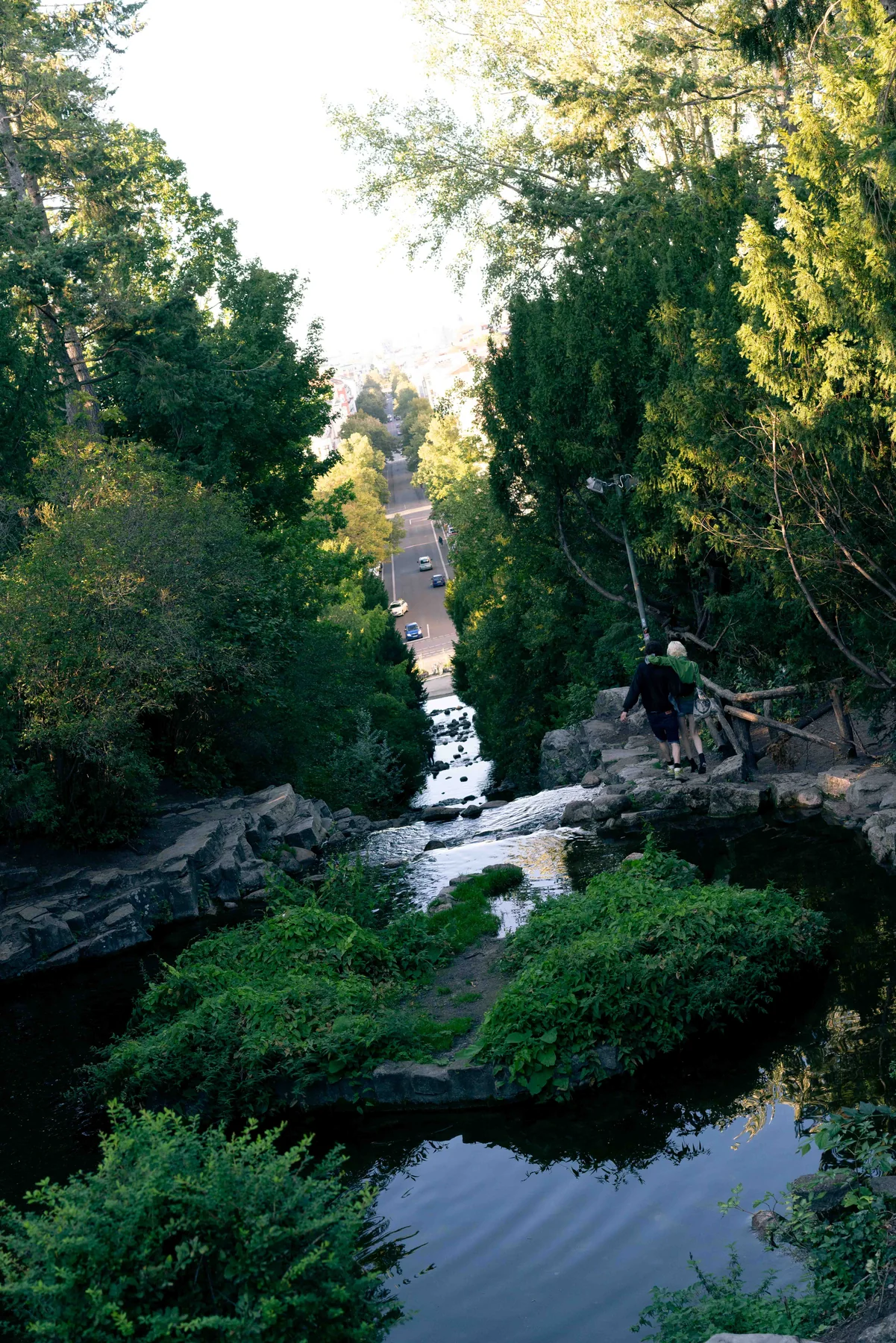 A canal running through summer greenery in Berlin.