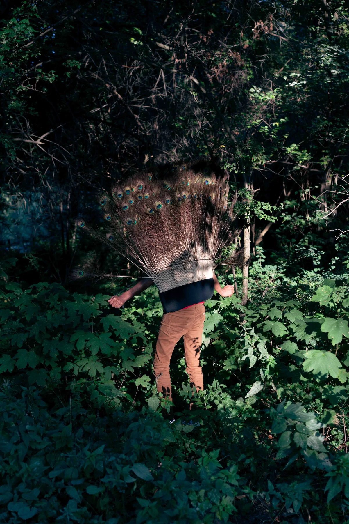 A person wearing a peacock-feather fan stands deep in overgrown green foliage, one hand reaching out.